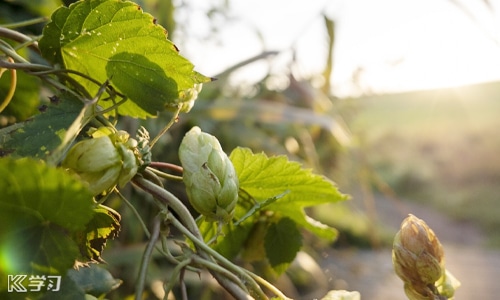 2021再见2022你好的句子文案 2021再见2022你好的句子文案